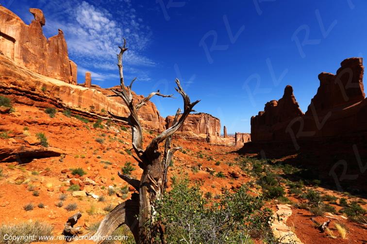 Park Avenue Arches National Park Utah USA