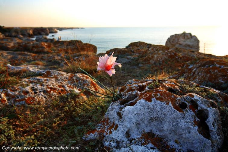 Mer Noire Tyulenovo Falaises Black Sea Bulgarie Bulgaria www.remylacroixphoto.com
