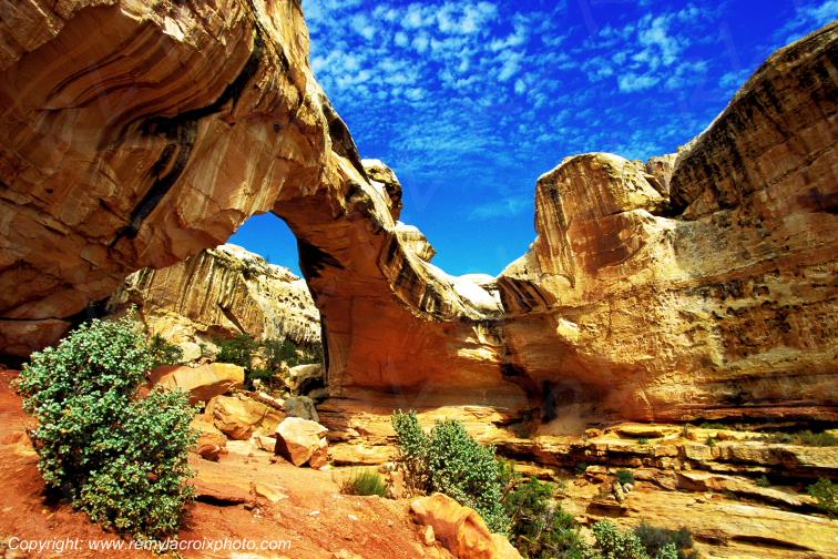 Capitol Reef National Park Hickman Bridge Utah USA