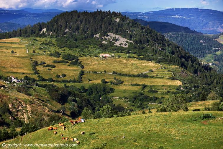 Mont Mezenc Ard�che Rh�ne Alpes France