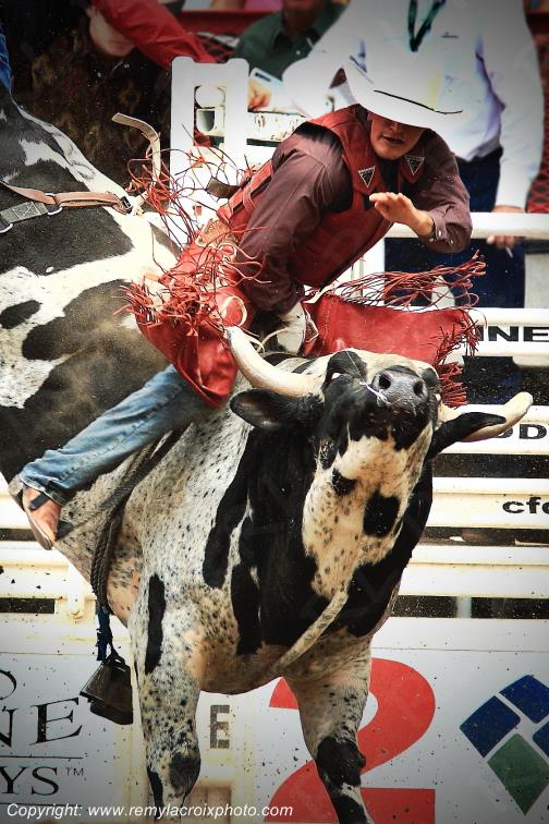 Cheyenne Frontier Days rodeo Bull Riding Wyoming USA www.remylacroixphoto.com