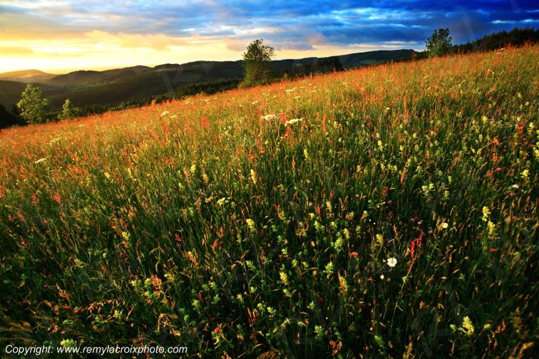 Les Biefs Montagne Bourbonnaise Allier Auvergne Rh�ne-Alpes France www.remylacroixphoto.com