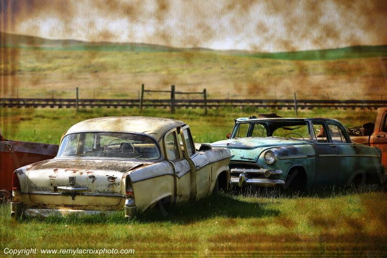 Studebaker Champion 1956 Dodge Royal 1955 wrecks Saskatchewan Canada www.remylacroixphoto.com #wreck #studebaker #dodge