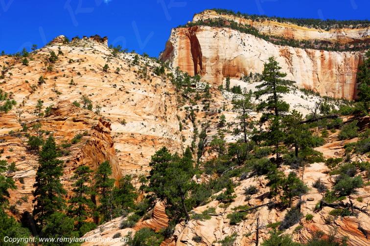 Mount Carmel Highway Zion National Park Utah USA