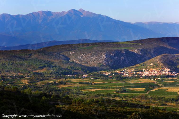 Vignoble du Haut-Fitou Corbi�res Aude France