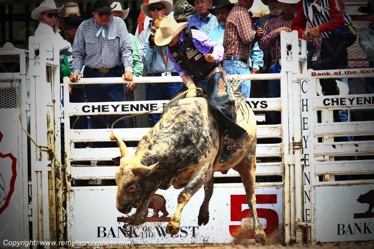 Cheyenne Frontier Days rodeo Bull Riding Wyoming USA www.remylacroixphoto.com