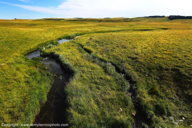 Ruisseau Le Pl�ches Nasbinals Aubrac Loz�re Languedoc-Roussillon Occitanie France www.remylacroixphoto.com