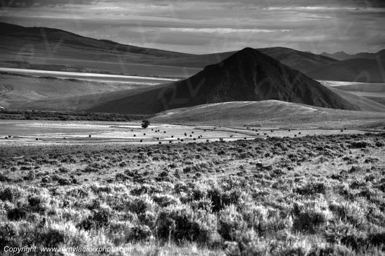 Rocky Mountains Grant Montana USA www.remylacroixphoto.com