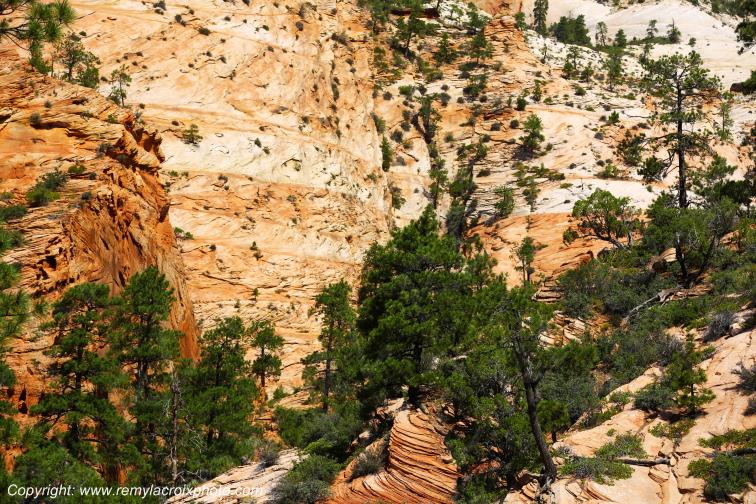 Mount Carmel Highway Zion National Park Utah USA