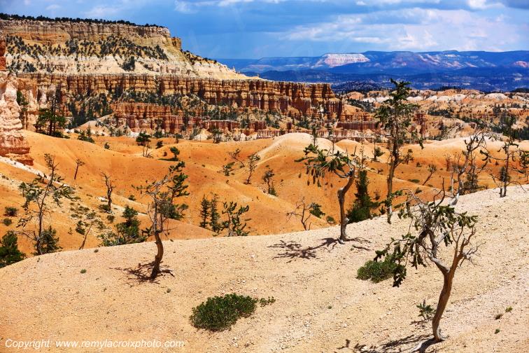 Queen's Garden Trail Bryce Canyon National Park Utah USA