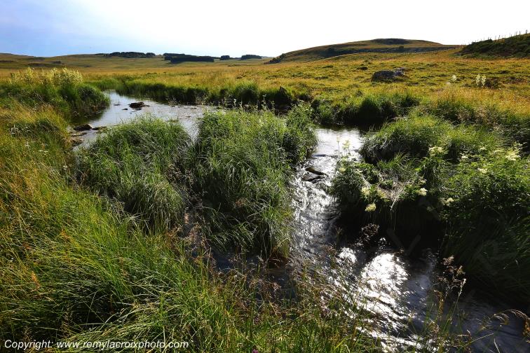 Ruisseau Le Pl�ches Nasbinals Aubrac Loz�re Languedoc-Roussillon Occitanie France www.remylacroixphoto.com