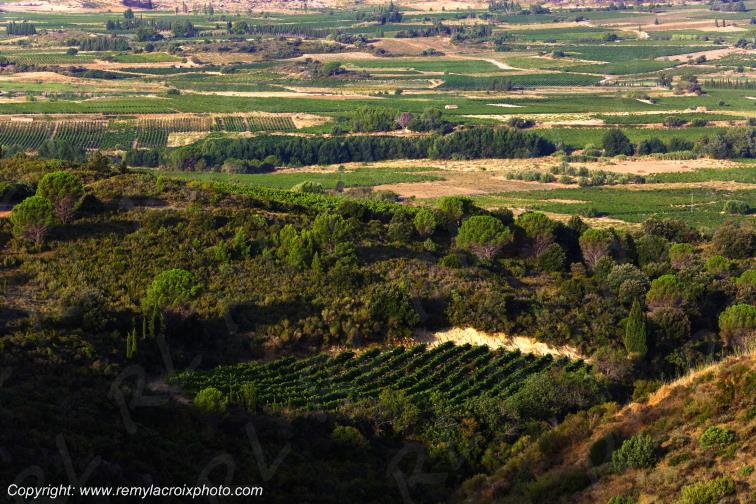 Vignoble du Haut-Fitou Corbi�res Aude France