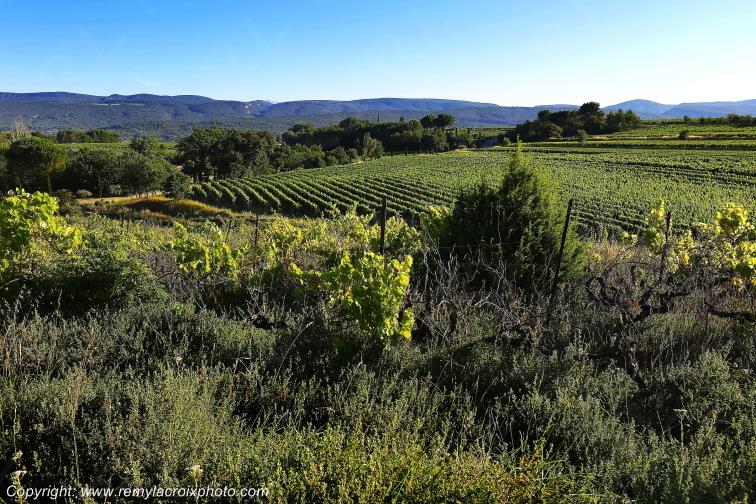 Roussillon Lub�ron Vaucluse Provence Alpes C�te d'Azur PACA France www.remylacroixphoto.com