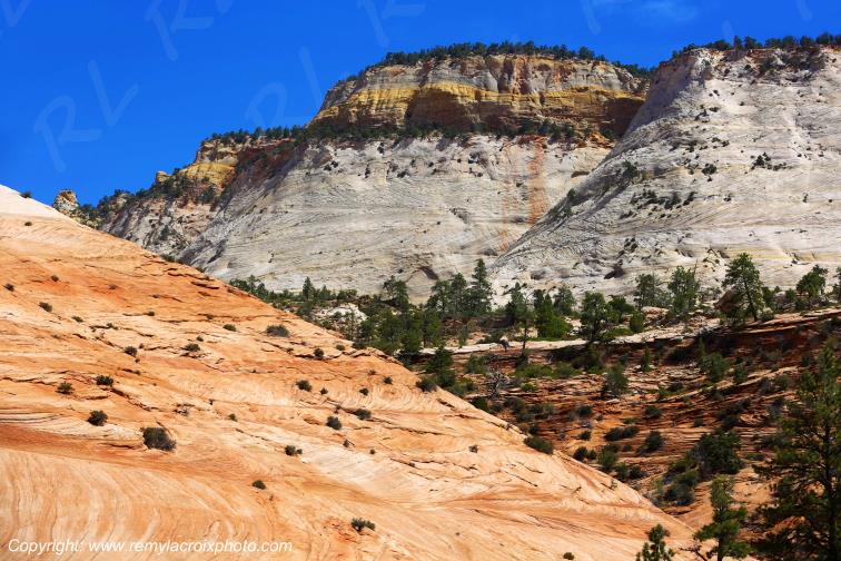 Mount Carmel Highway Zion National Park Utah USA