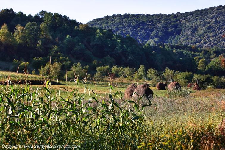 Godinesti Banat Romania Roumanie www.remylacroixphoto.com