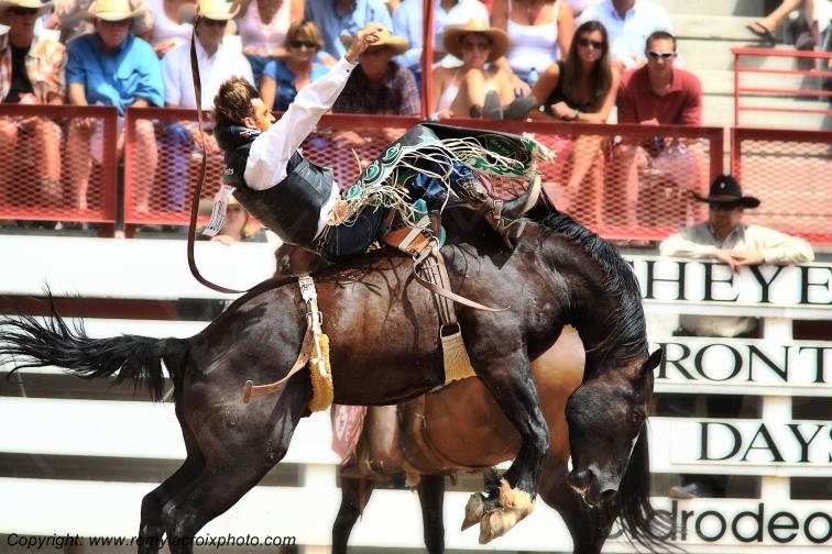 Cheyenne Frontier Days rodeo Wyoming USA www.remylacroixphoto.com