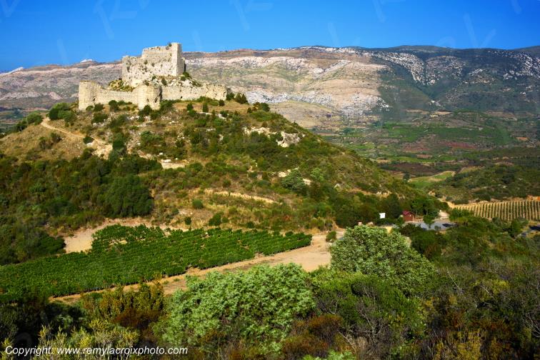 Vignoble du Haut-Fitou Corbi�res Aude France