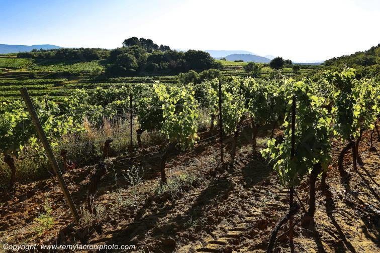 Roussillon Lub�ron Vaucluse Provence Alpes C�te d'Azur PACA France www.remylacroixphoto.com