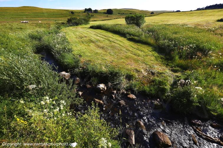 Col de la Matte Aubrac Cantal Auvergne Rh�ne-Alpes France www.remylacroixphoto.com