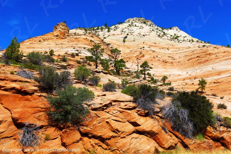 Mount Carmel Highway Zion National Park Utah USA