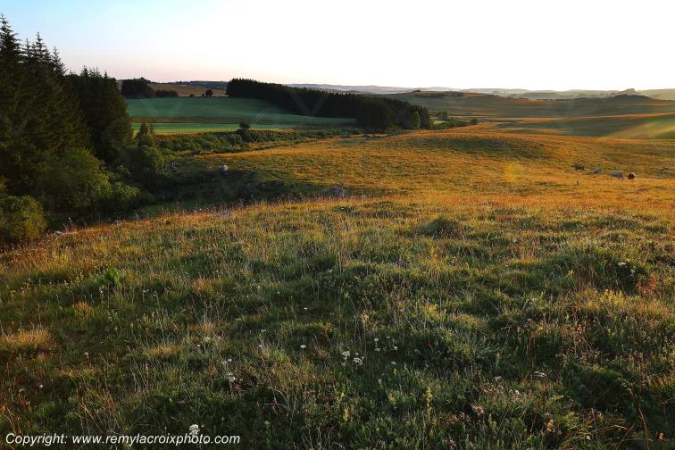 Col de Bonnecombe Aubrac Loz�re Languedoc-Roussillon Occitanie France www.remylacroixphoto.com