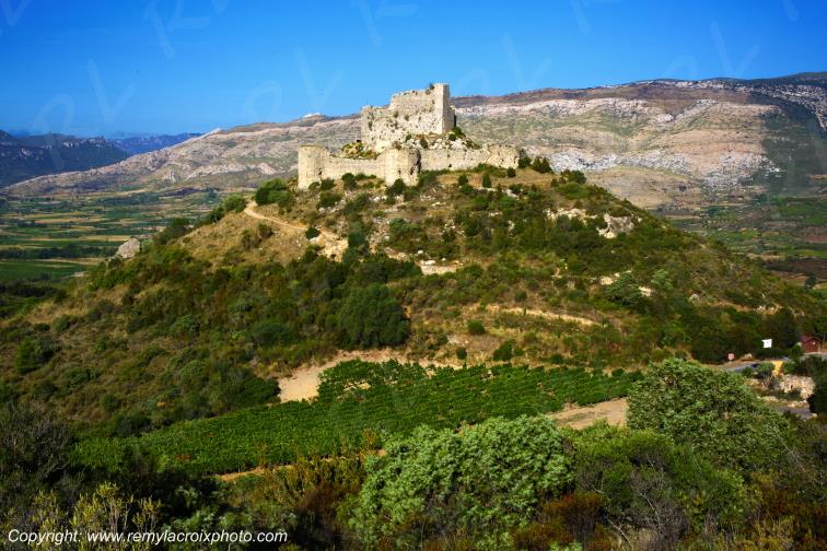 Vignoble du Haut-Fitou Corbi�res Aude France