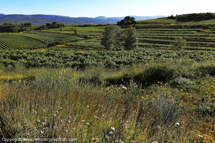 Roussillon Lub�ron Vaucluse Provence Alpes C�te d'Azur PACA France www.remylacroixphoto.com