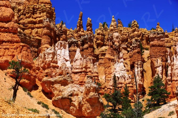 Queen's Garden Trail Bryce Canyon National Park Utah USA