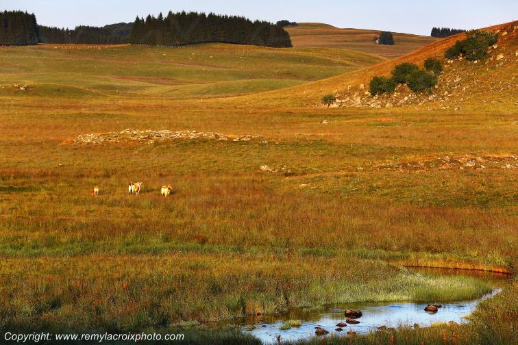 Ruisseau Le Pl�ches Nasbinals Aubrac Loz�re Languedoc-Roussillon Occitanie France www.remylacroixphoto.com