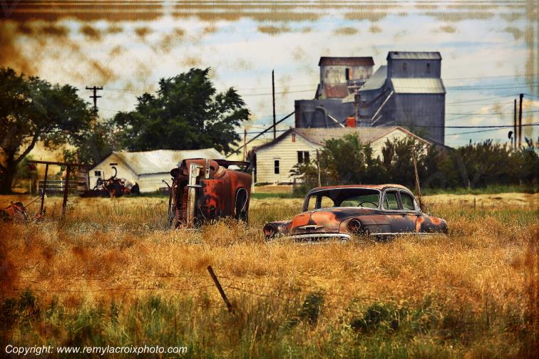 Chevrolet Deluxe 1953 wrecks Bainville Montana USA www.remylacroixphoto.com #chevrolet #deluxe #carwrecks #montana #bainville