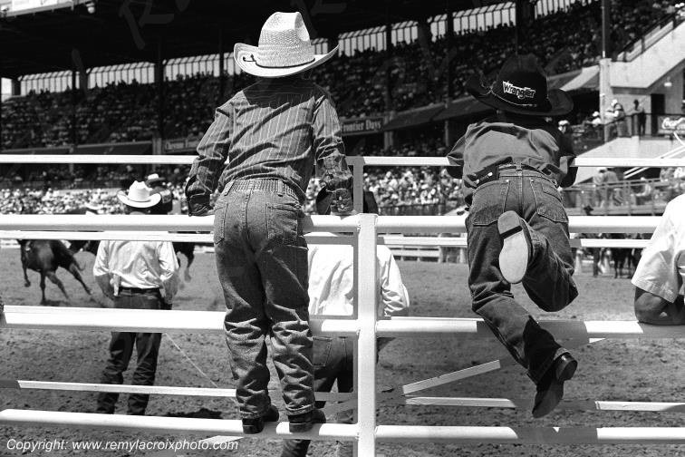 Cheyenne Frontier Days rodeo Wyoming USA