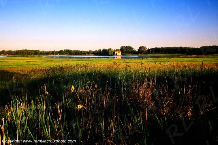 Etang de Montiacre parc naturel r�gional de la Brenne Indre Berry Centre Val de Loire France