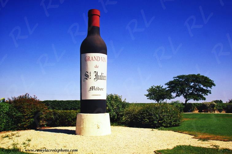 M�doc vignobles Saint Julien Gironde Aquitaine France www.remylacroixphoto.com