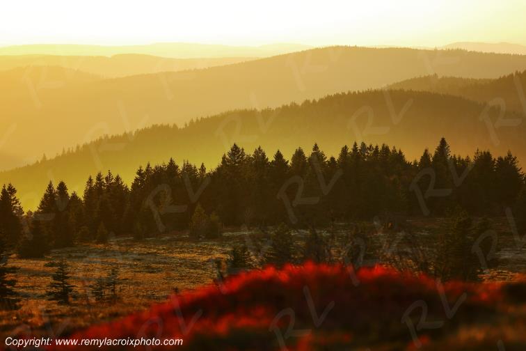 Gazon du Faing Route des Cr�tes Vosges Lorraine Grand-Est France www.remylacroixphoto.com