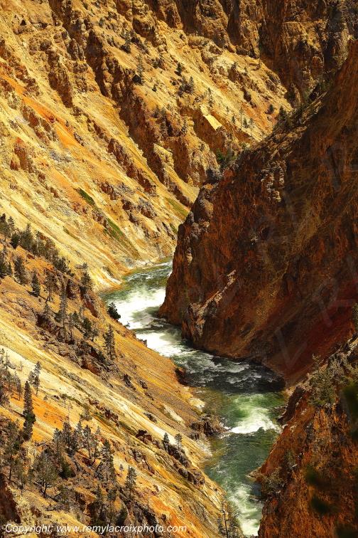Grand Canyon Yellowstone National Park Wyoming USA www.remylacroixphoto.com