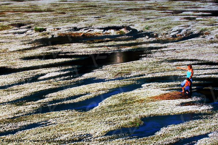 Saint Florent sur Cher Berry Centre Val de Loire France