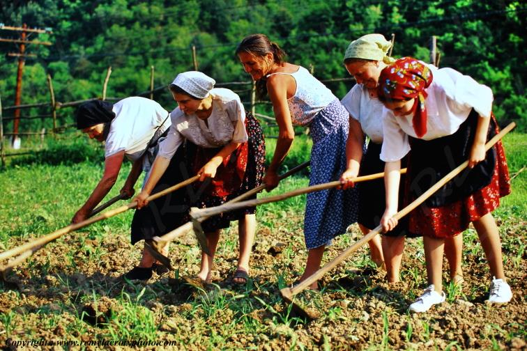 Oncesti Maramures Romania Roumanie www.remylacroixphoto.com
