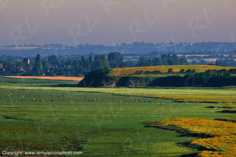 Grouin du Sud Baie du Mont Saint Michel Manche Normandie France www.remylacroixphoto.com