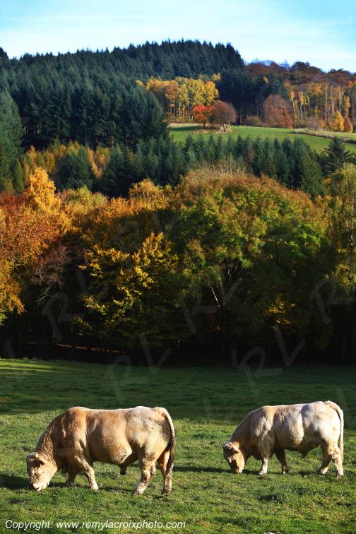 Saint Prix en Morvan Sa�ne et Loire Bourgogne Franche Comt� France www.remylacroixphoto.com