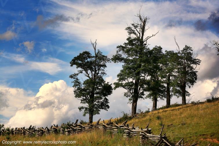 Back Creek Allegheny Mountains Virginia Virginie USA www.remylacroixphoto.com