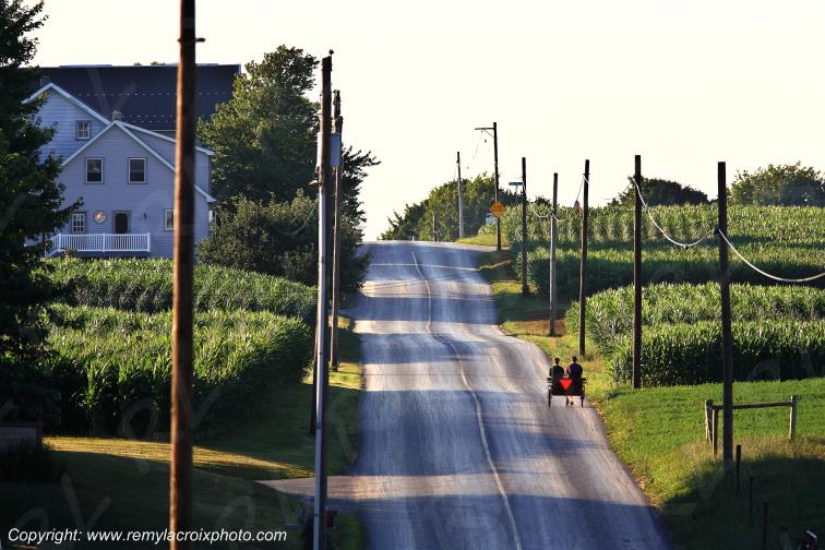 Lancaster Dutch County Amish Buggy Pennsylvania Pennsylvanie USA ww.remylacroixphoto.com