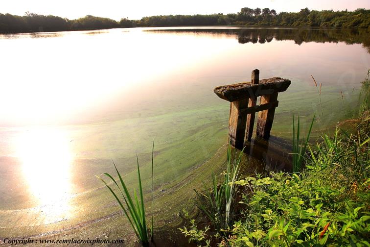 Marcilly en Gault Etang du Briou Sologne Loir et Cher Centre Val de Loire France www.remylacroixphoto.com