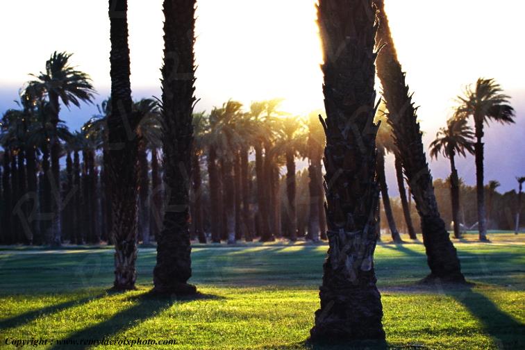 Furnace Creek Oasis Death Valley Californie California USA www.remylacroixphoto.com