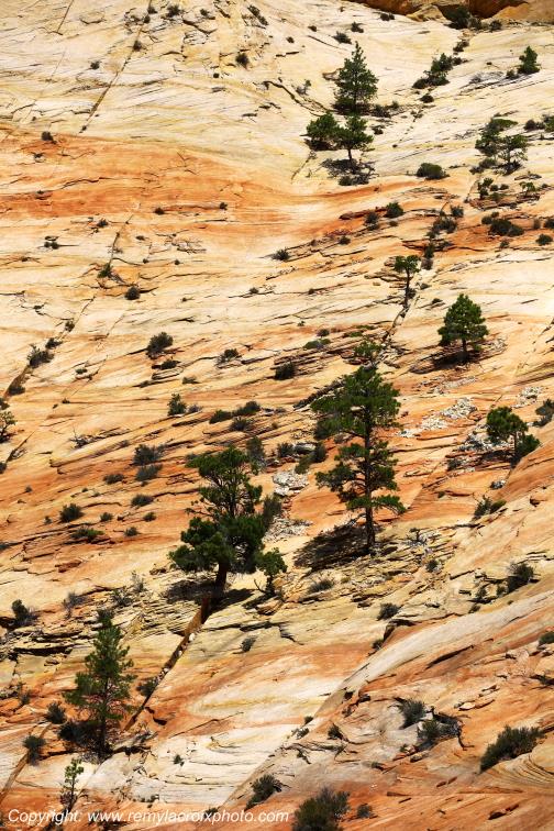 Mount Carmel Highway Zion National Park Utah USA