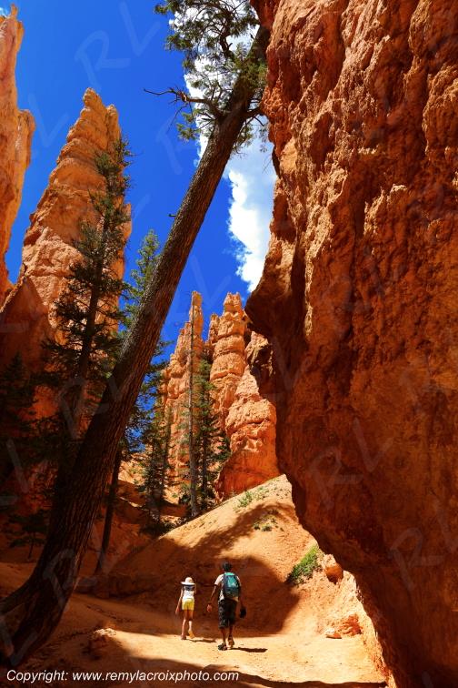 Queen's Garden Trail Bryce Canyon National Park Utah USA