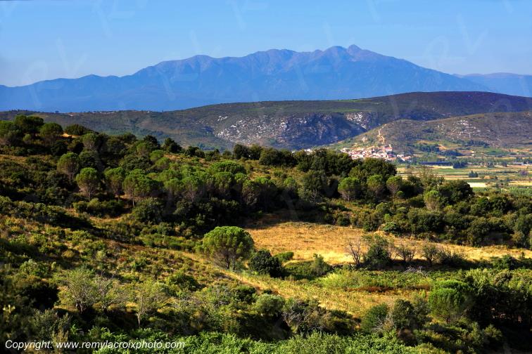 Vignoble du Haut-Fitou Corbi�res Aude France