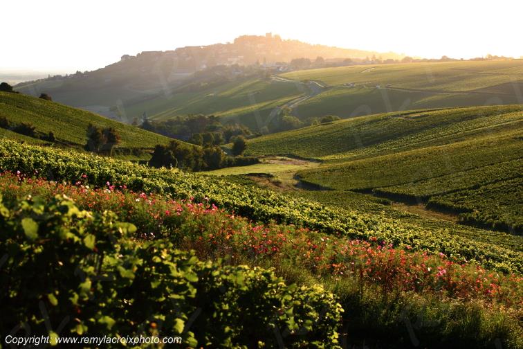 Sancerre le Piton Sancerrois Cher Berry Centre Val de Loire France