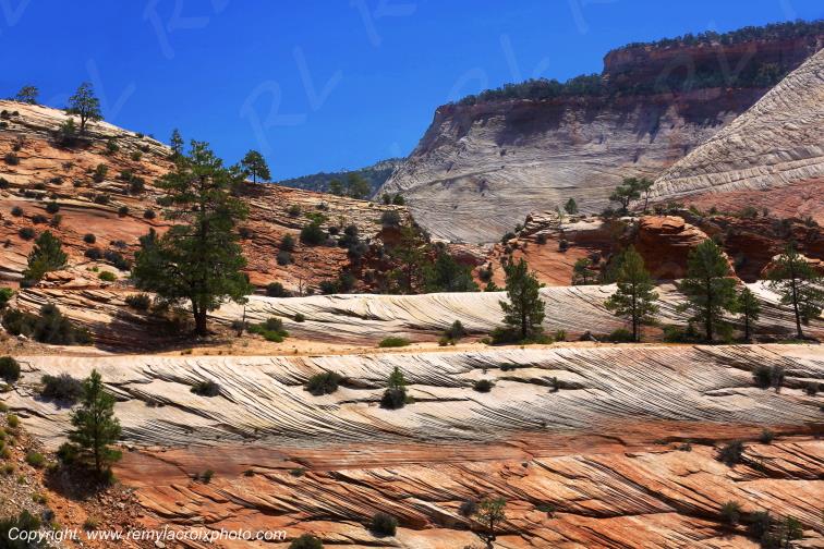 Mount Carmel Highway Zion National Park Utah USA
