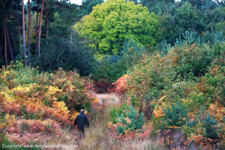 Tron�ais promeneur chien for�t Allier Auvergne France