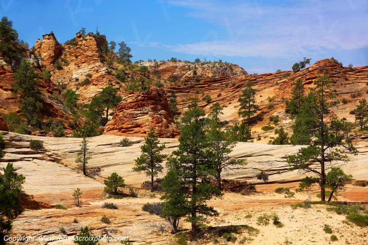 Mount Carmel Highway Zion National Park Utah USA